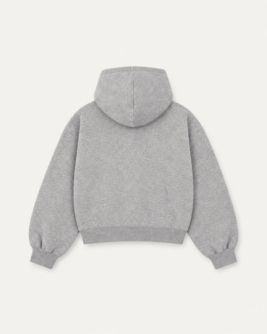 Concept image: heather grey Signé Zip Hoodie, back view, plain back